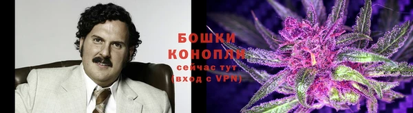 крисы Волосово