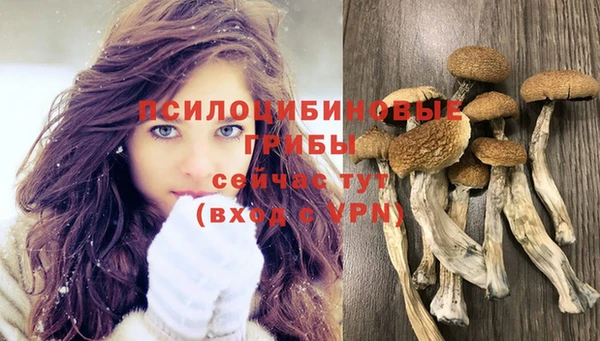 Альфа ПВП Вязьма